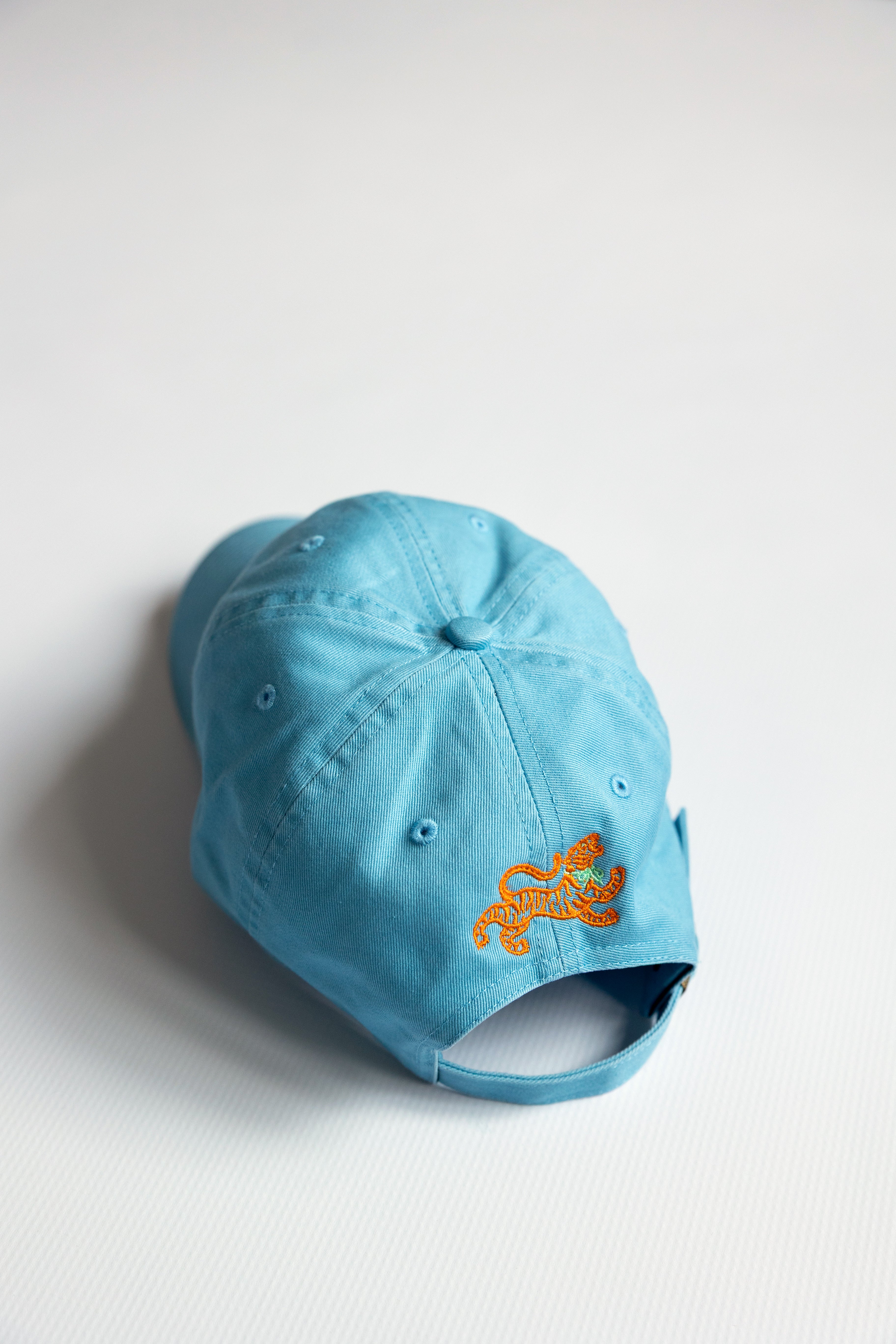 Blue cap with orange tiger logo on a white background