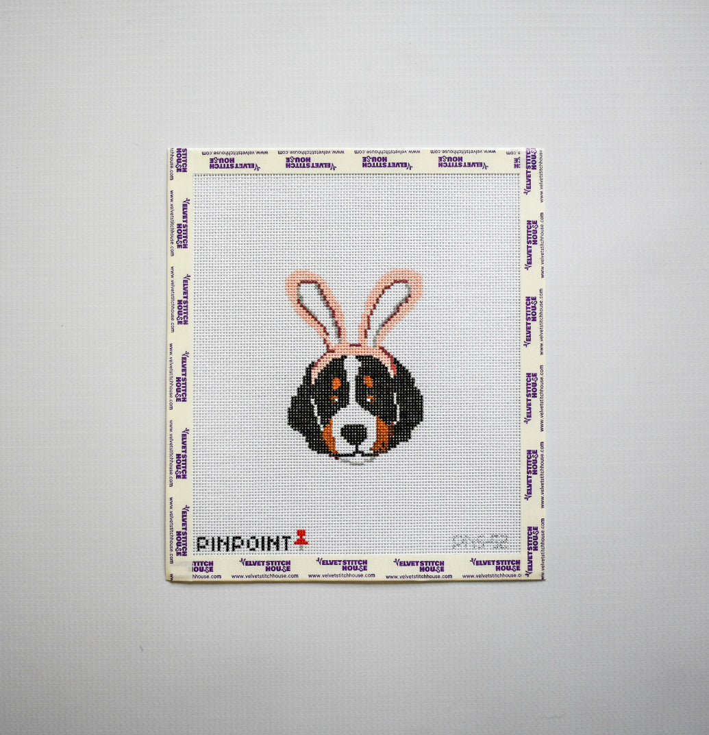 Easter Buddy - Bernese
