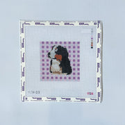 Bernese on Gingham