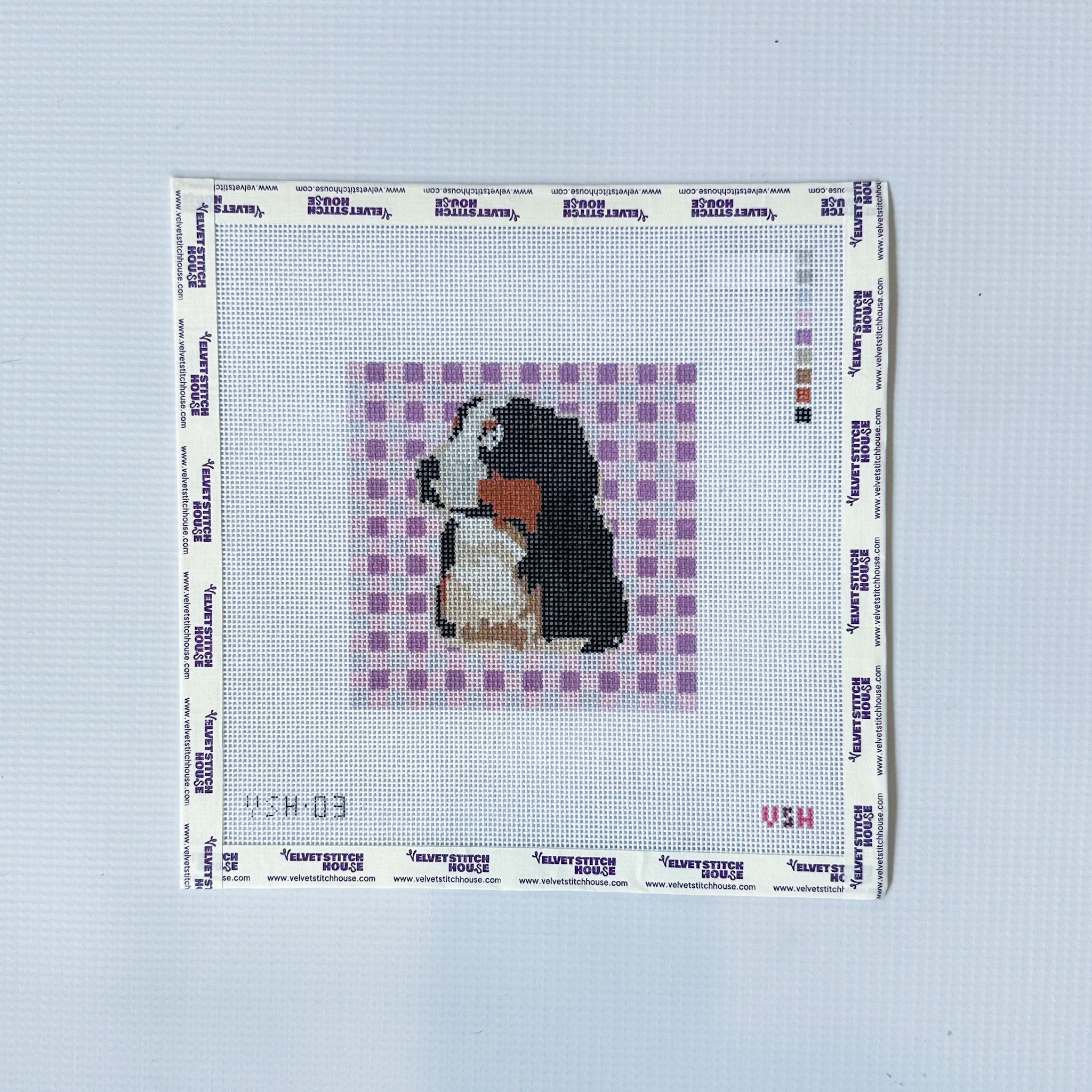 Bernese on Gingham
