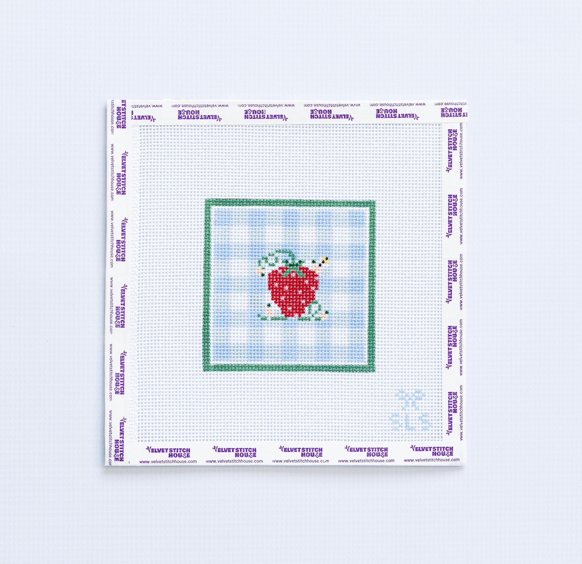 Needlepoint pattern of a strawberry design on a light blue gingham design and green border