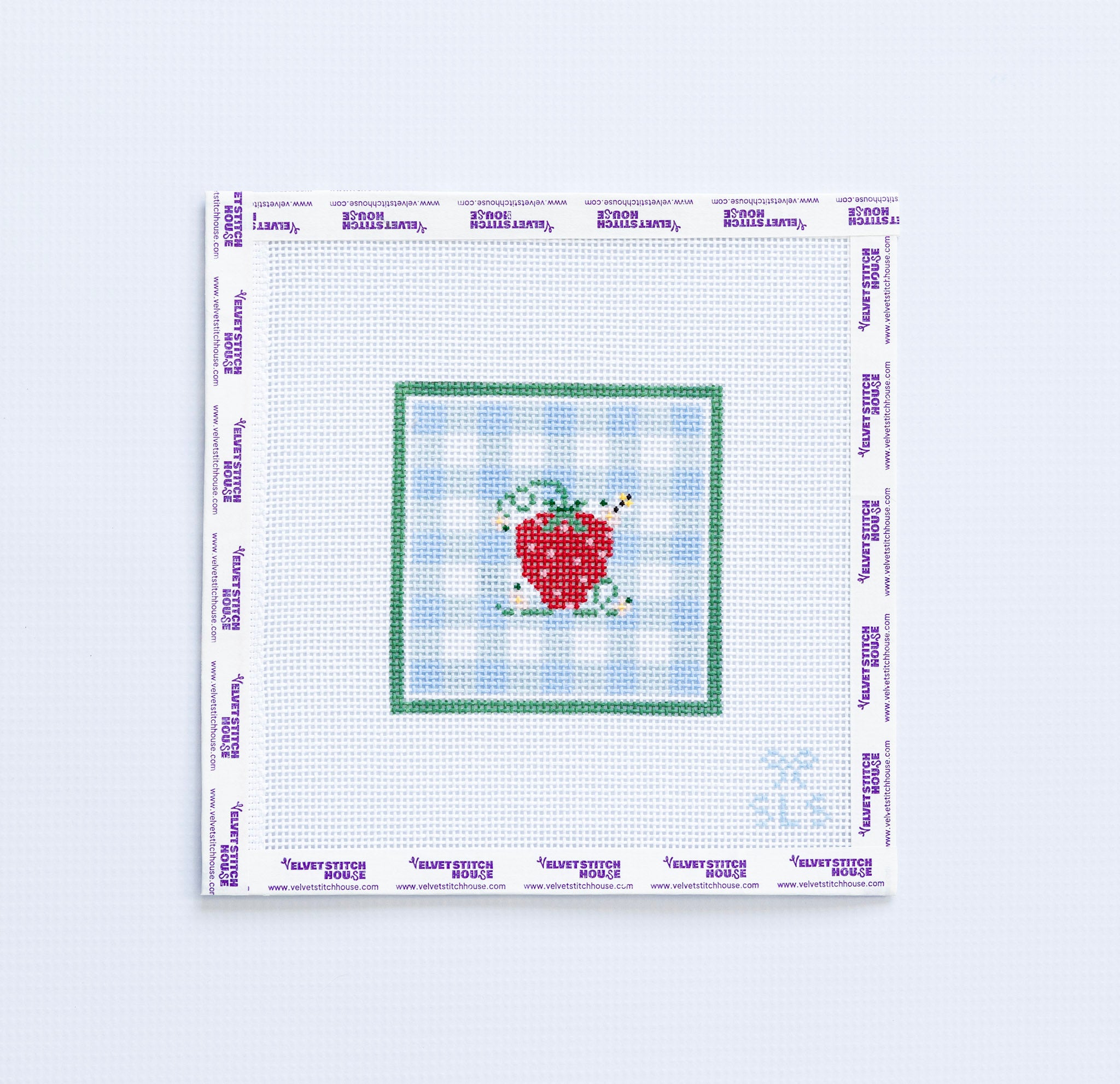 Needlepoint pattern of a strawberry design on a light blue gingham design and green border