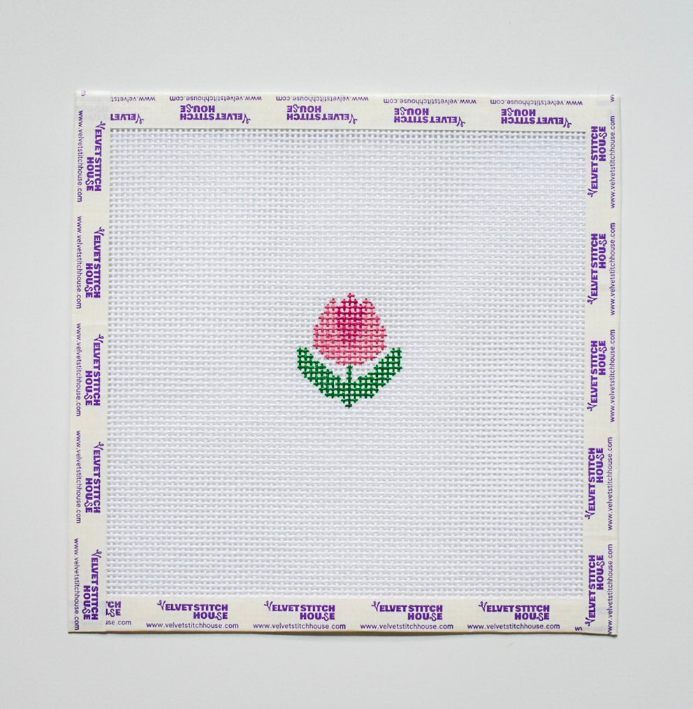 Mini Tulip