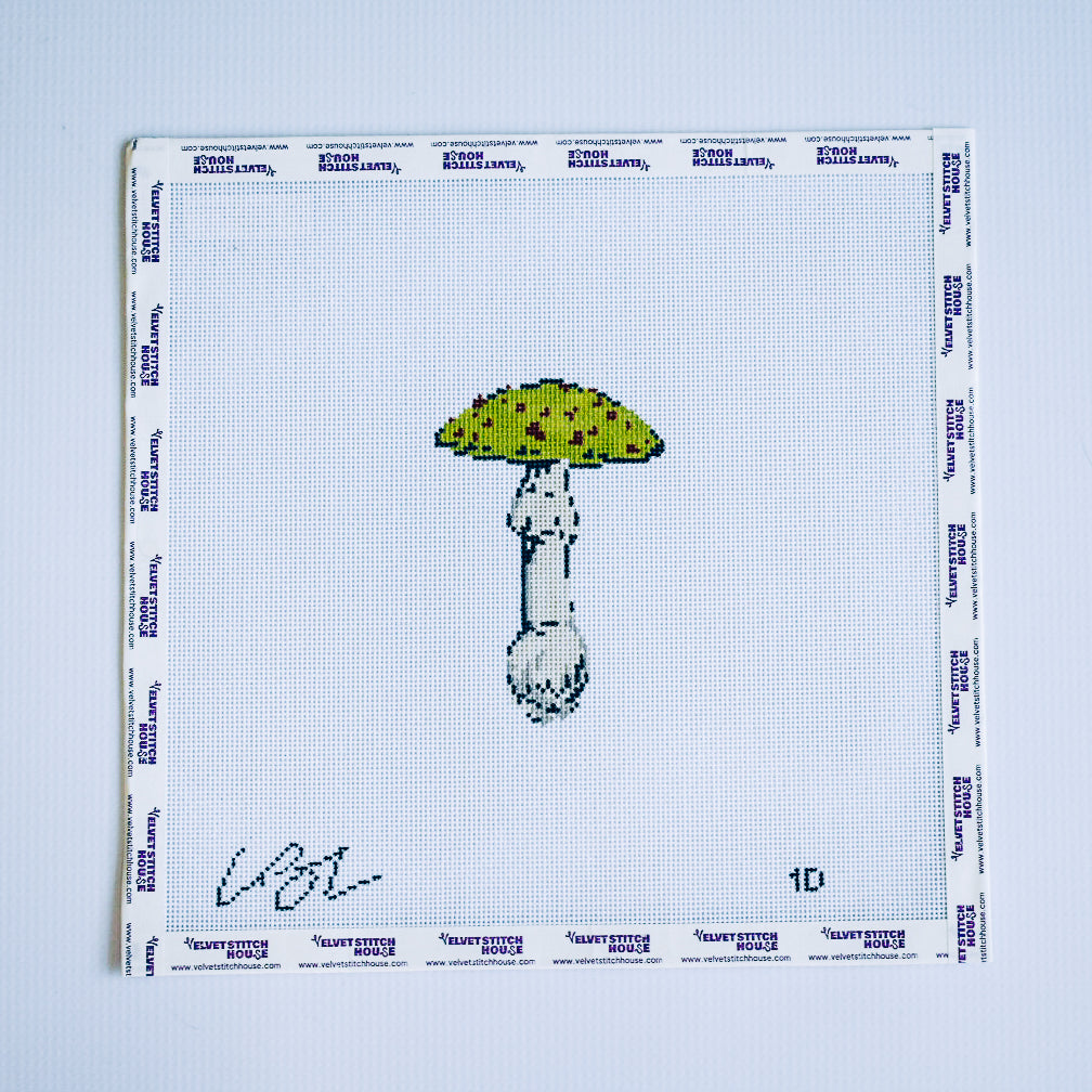 Olive Mushroom