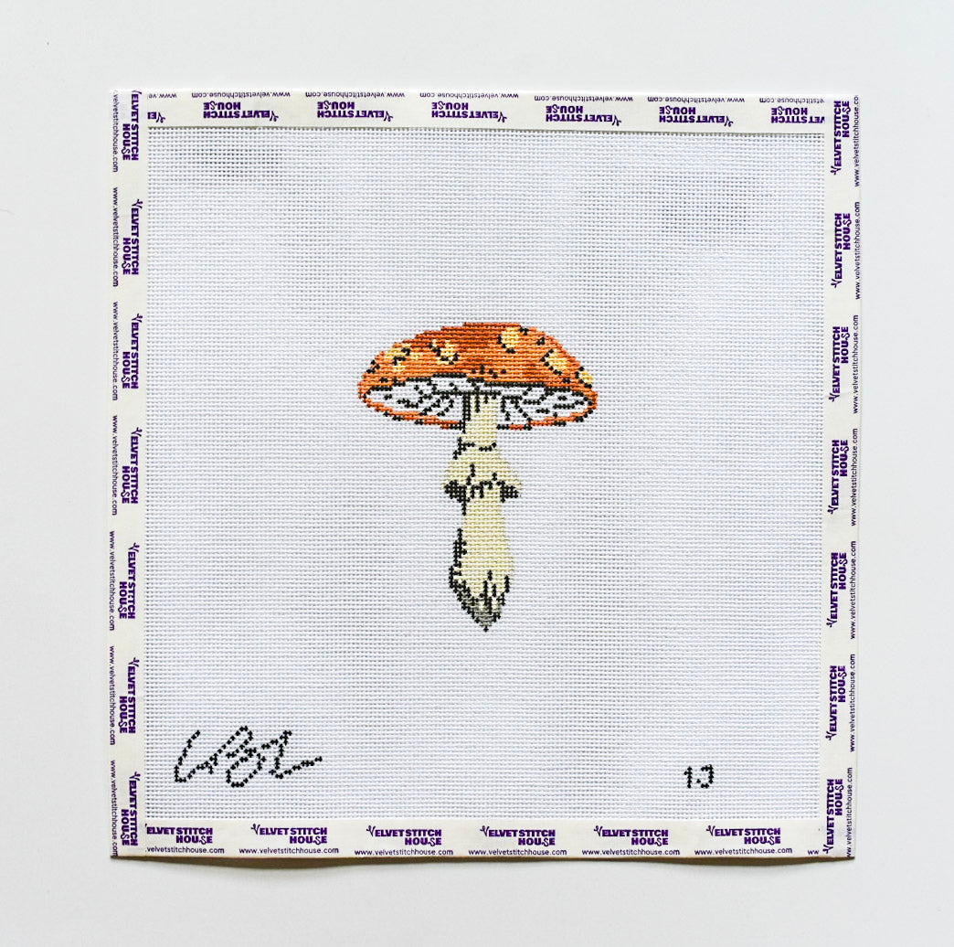 Orange Mushroom