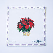Pointsettia