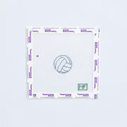 Mini needlepoint design with white and gray volleyball