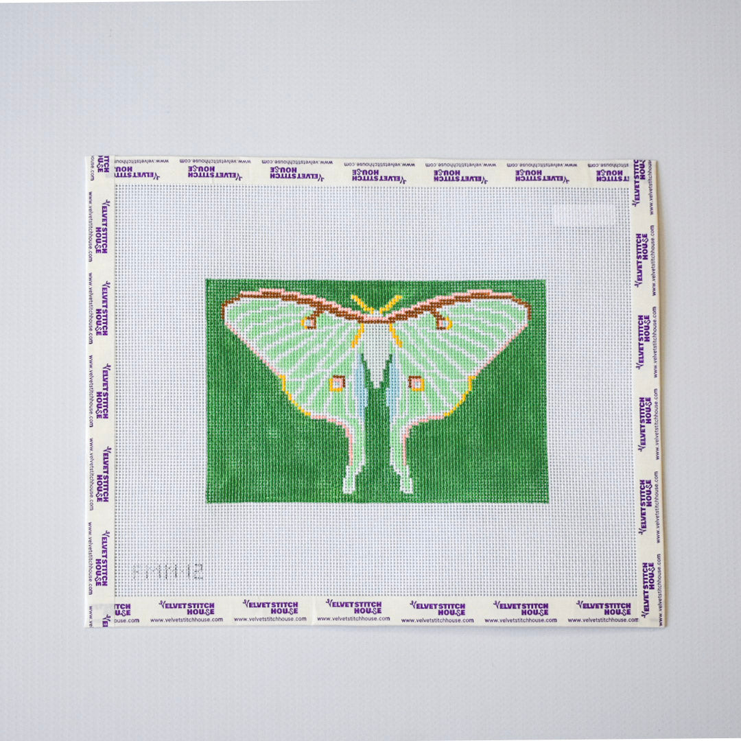 Luna Moth