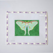 Luna Moth