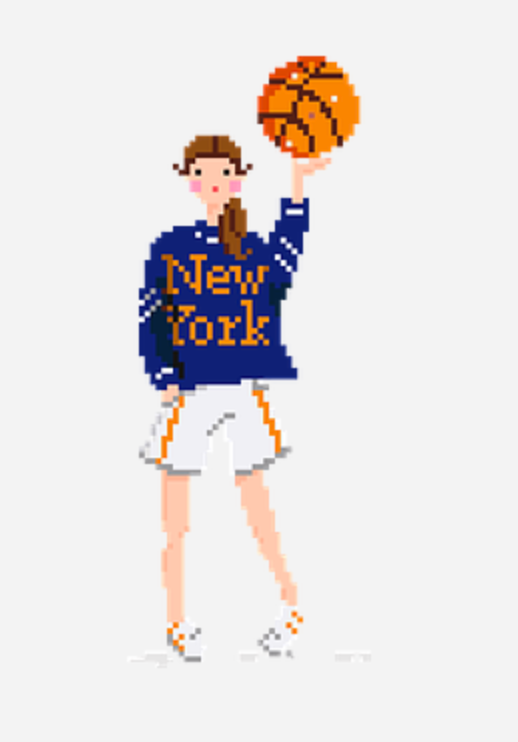 New York Knicks Needleminders